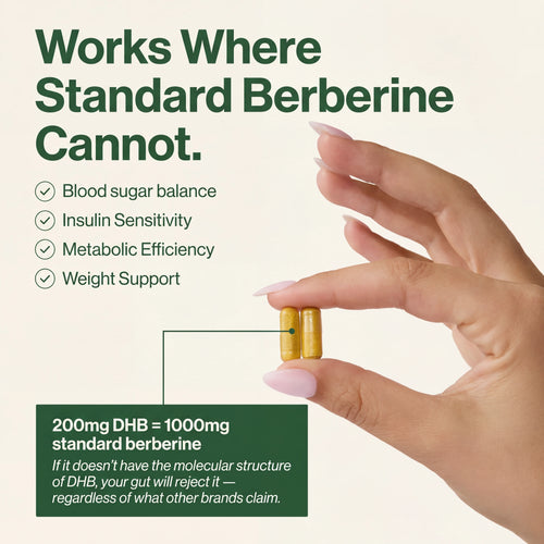 Berberine 2.0 | Dihydroberberine Capsules